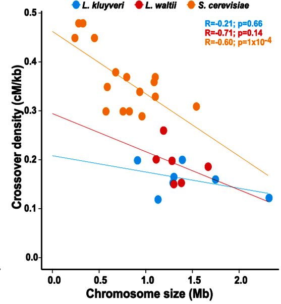 Nouvelle publication dans PLoS GMGM Génétique moléculaire, génomique, microbiologie